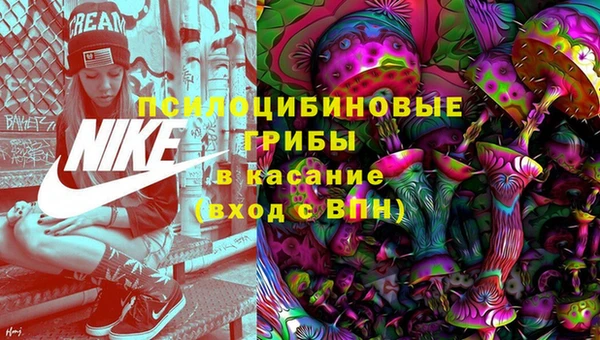 прущая мука Алексин