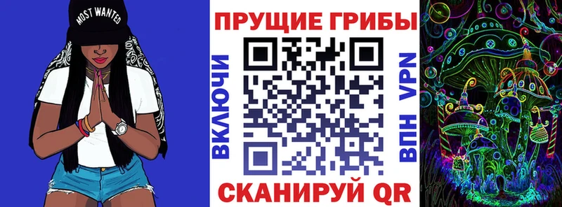 МЕГА сайт  даркнет состав  Псилоцибиновые грибы GOLDEN TEACHER  наркотики  Кудрово 