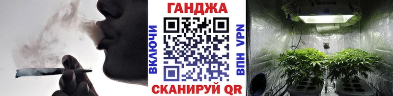 OMG tor  Кудрово  Марихуана ГИДРОПОН 